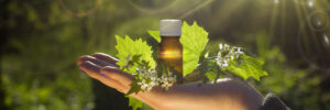 Fresh herbs - Natural remedies - Bach flower remedy.