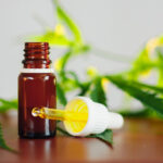 small dropper of CBD oil