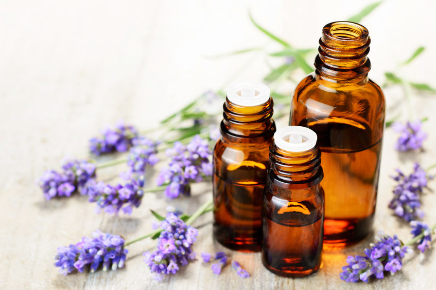 Small, opened lavender essential oil bottles, ready to be used on the skin for sleep with fresh lavender flower heads next to them.