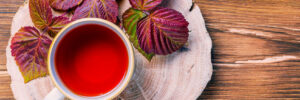 red raspberry leaf tea