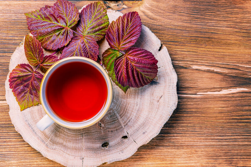 red raspberry leaf tea