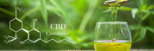 cannabinoids in marijuana CBD elements, Pouring hemp oil into glass