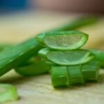 Fresh Aloe Vera
