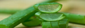 Fresh Aloe Vera