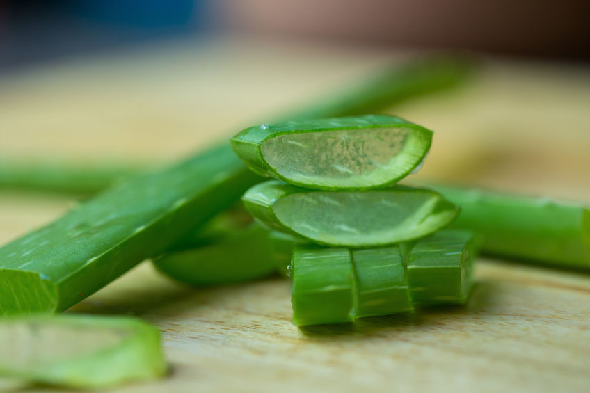Fresh Aloe Vera
