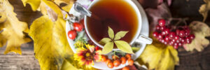 Autumn still life with a cup of tea