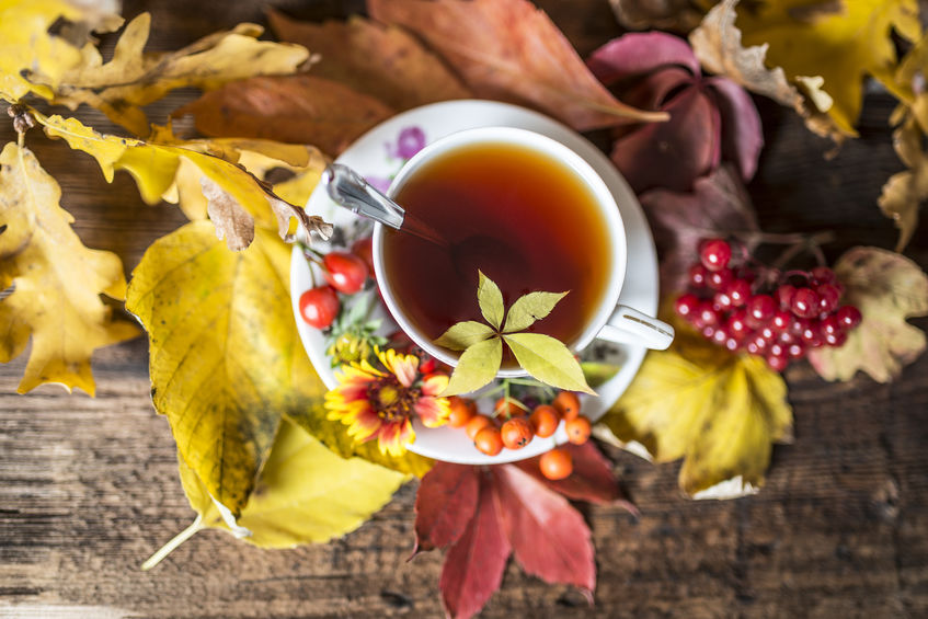 Autumn still life with a cup of tea