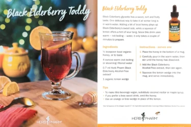 A glass mug of Black Elderberry Toddy with lemon slices on a wooden table next to a recipe and a bottle of elderberry extract.